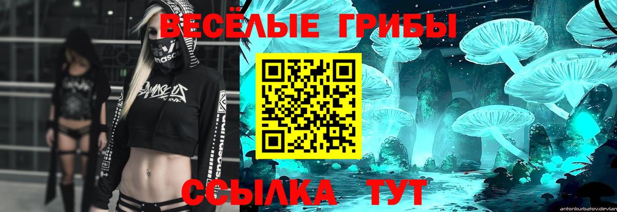 Псилоцибиновые грибы Cubensis  Вход с VPN  Архангельск 